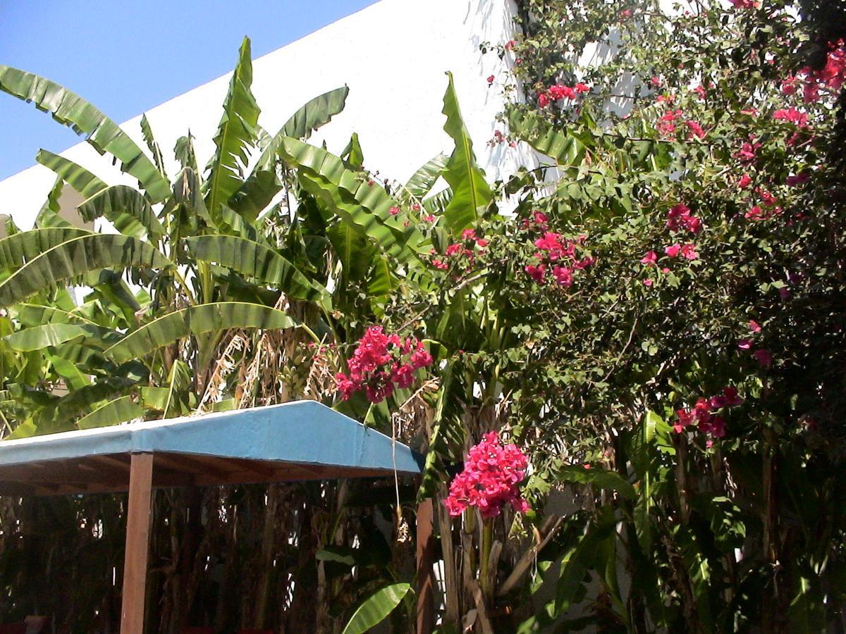 Sea Breeze Hotel Mastichari  Exterior foto